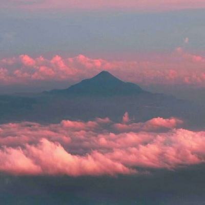 今日辟谣（2024年8月28日）