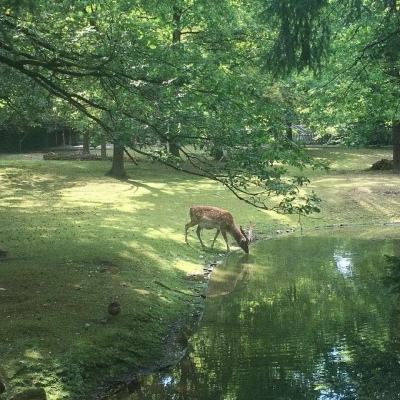 英国发现1.5亿年前化石 来自史前海洋霸主上龙