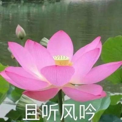 张文宏：严守新一轮疫情规模性反弹底线，探索更智慧动态清零模式