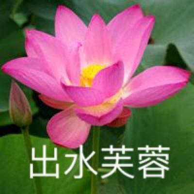 9.21菲律宾刚自己滚蛋后，现在又想着卷土重来了，撤出仙宾礁是缓兵之计？