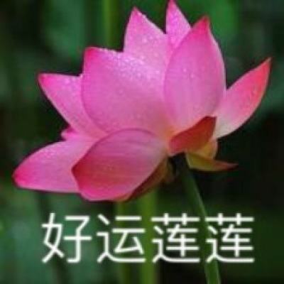 黄草编在septieme夏季陈列